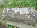 image of grave number 947819